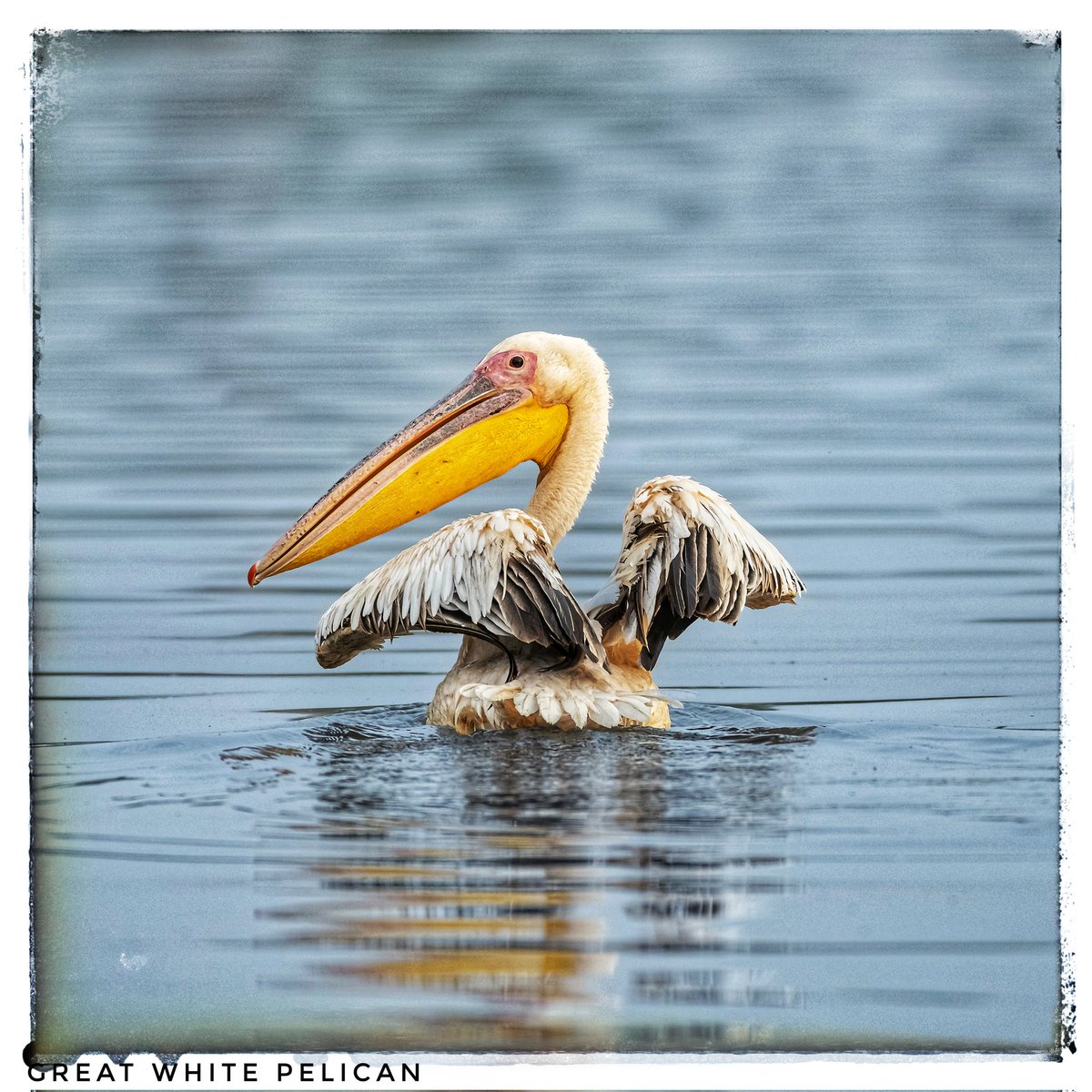 Anjaneya ki Charana Dhool Chikkappa tweet media