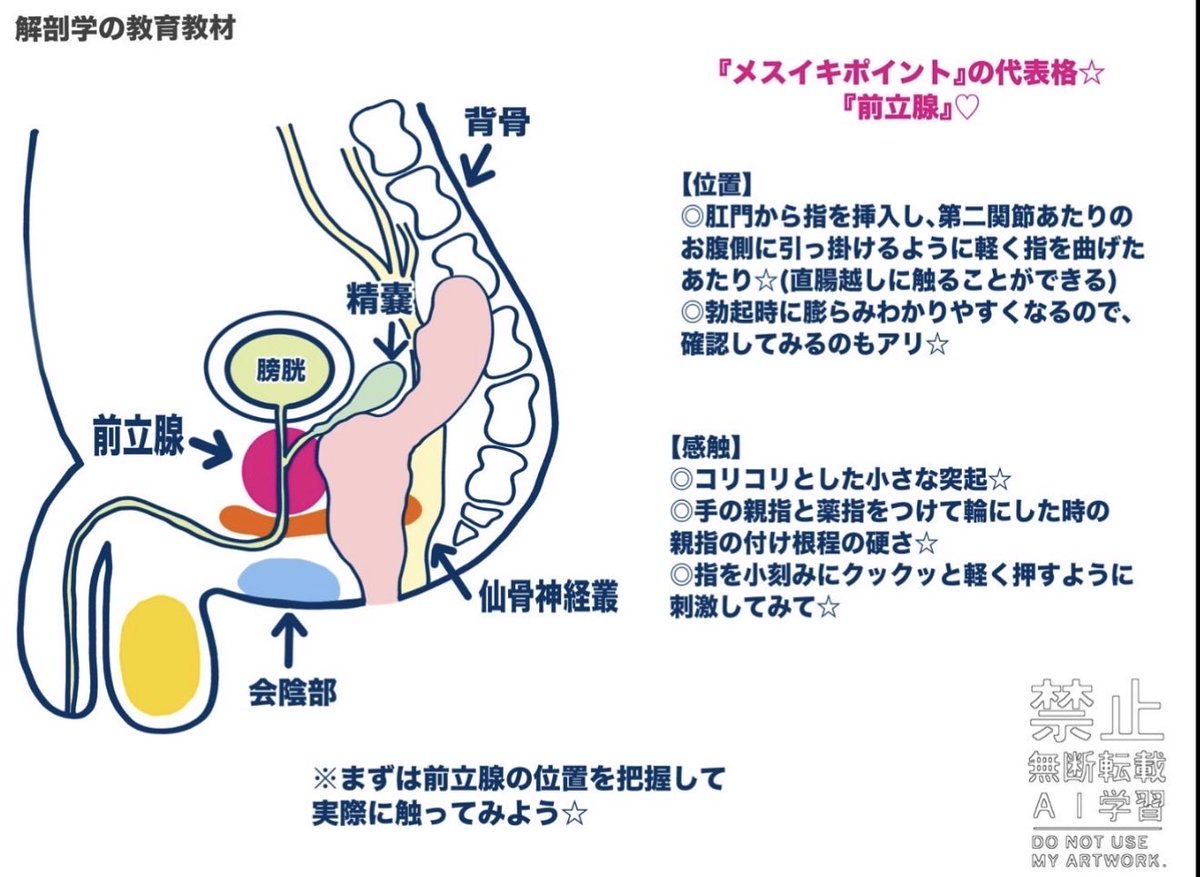 超（腸）気持ちいいポイント
