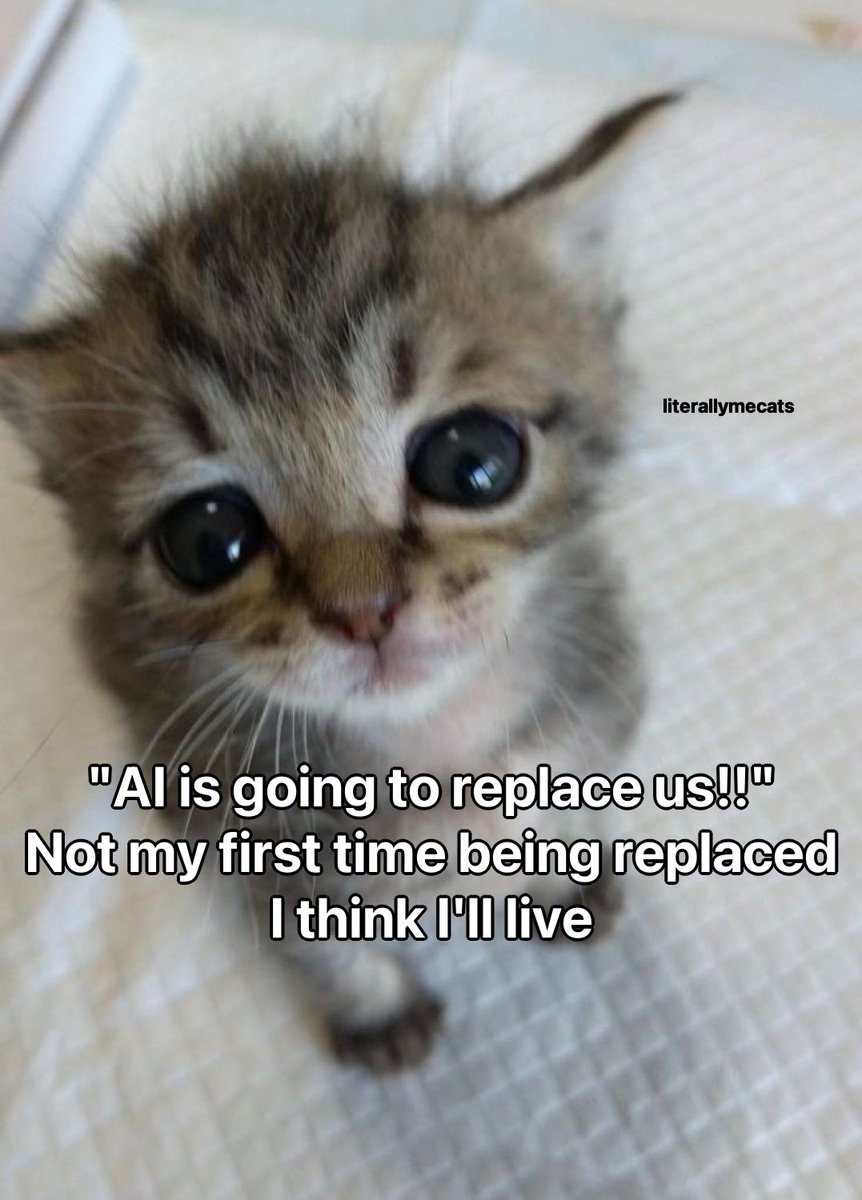 literallymecats's tweet image. 