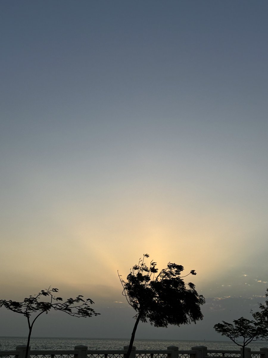 نايف حاف (@naif_h7) on Twitter photo 