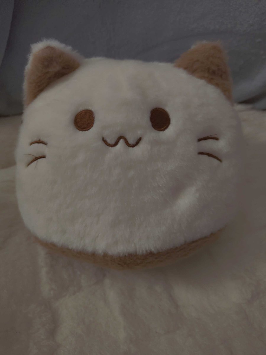 foolse🐾 tweet media