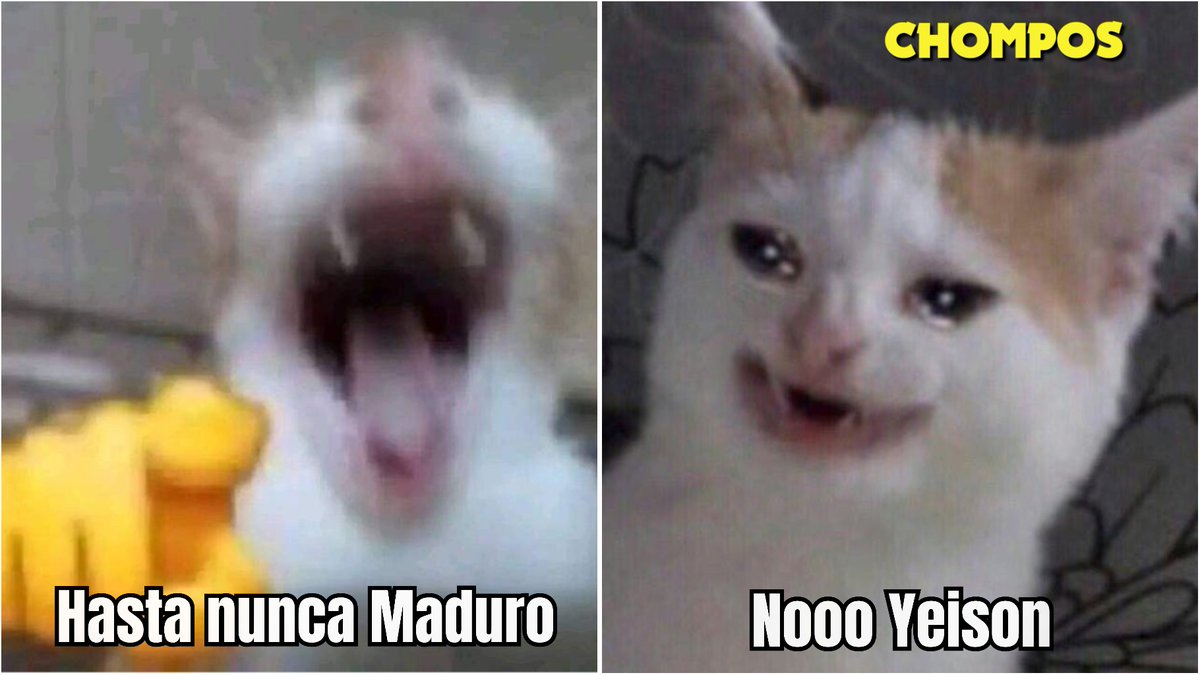 ChomposX's tweet photo. Primer sábado de 2026 / segundo sábado de 2026 https://t.co/lfhbUsLvjT