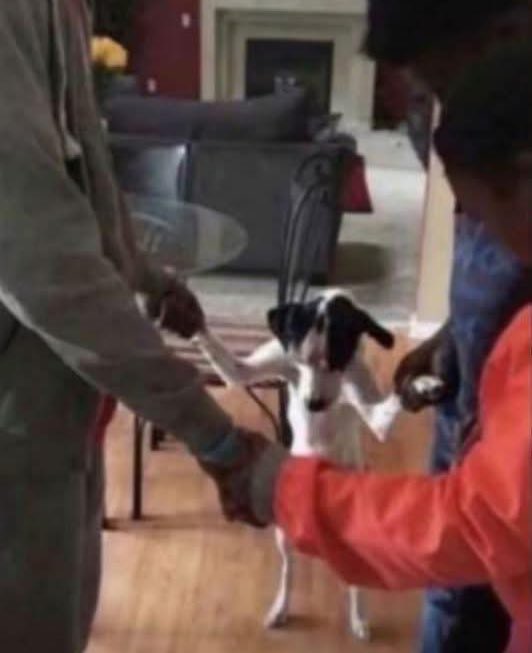 pablo_weDrip tweet media