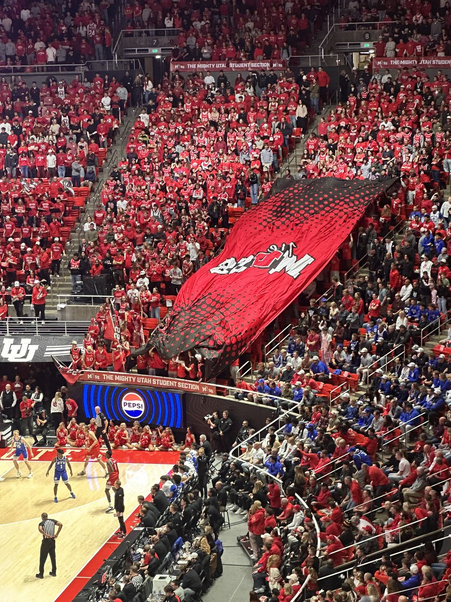 laceandrus's tweet image. It’s fine. They’ve never been here before!