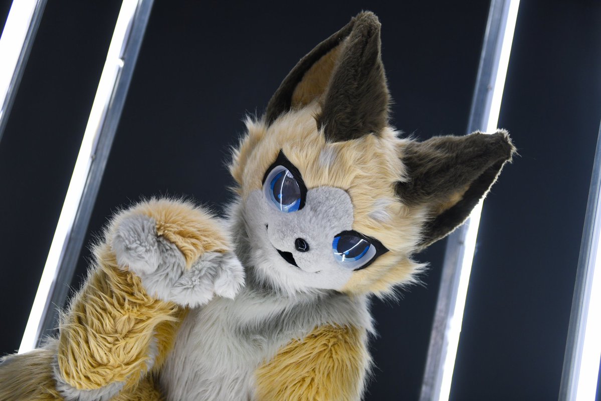 shellpwe's tweet image. #fursuit #furry #着ぐるみ

복을 불러오는 디스티다냐ー
 招きディスチダニャ-

📸 : @Banikelee1112