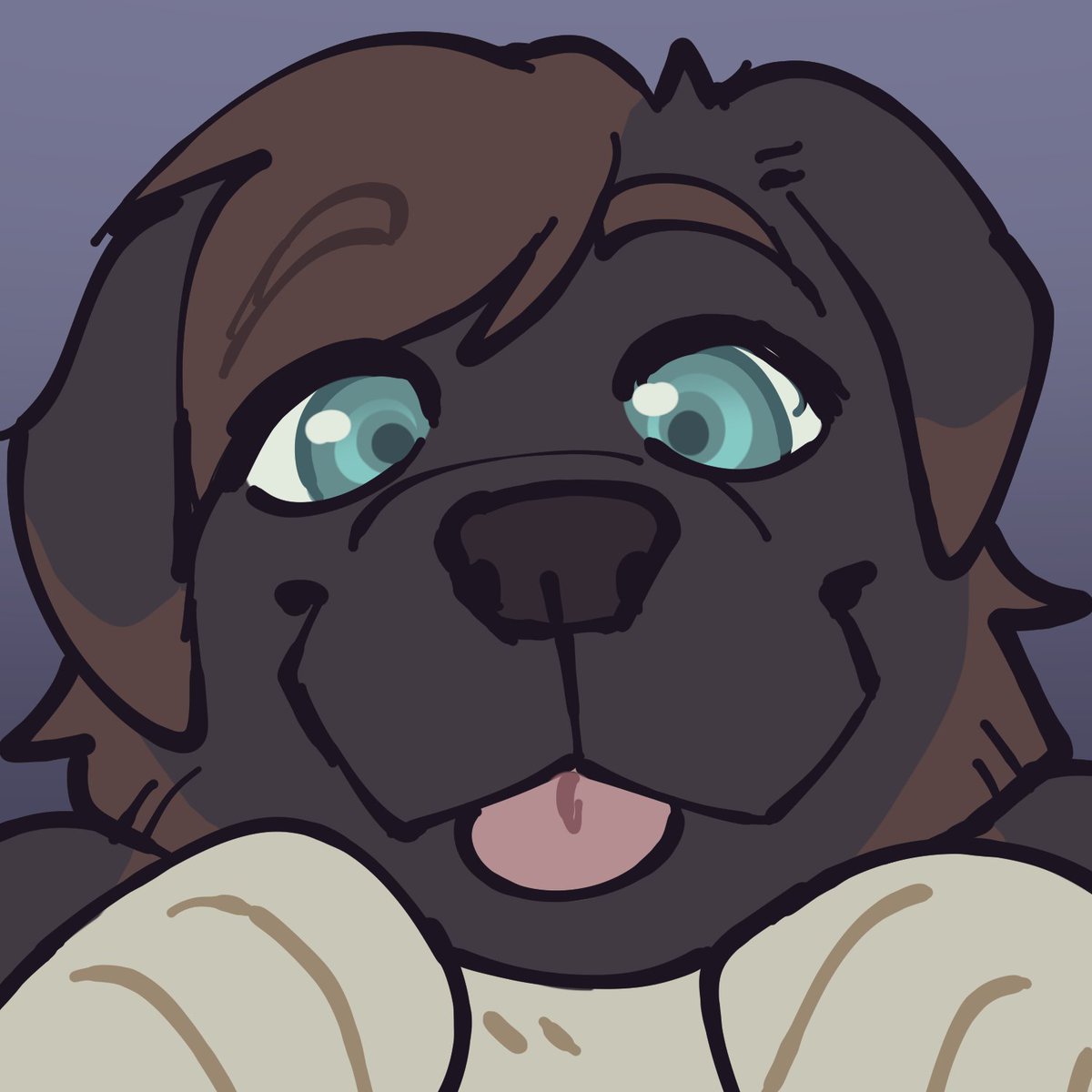 Filches 🇳🇿 tweet media