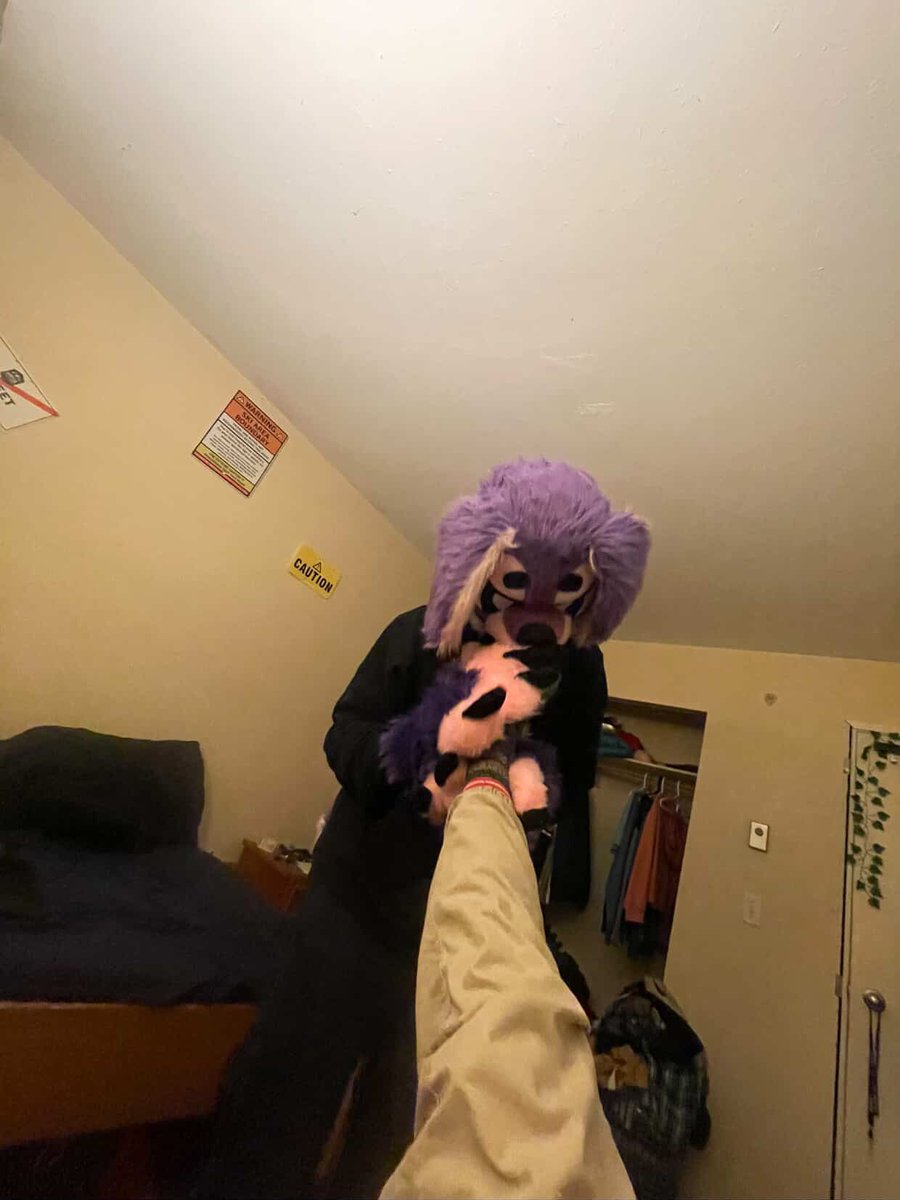 Jasper Bleats 🦌 tweet media