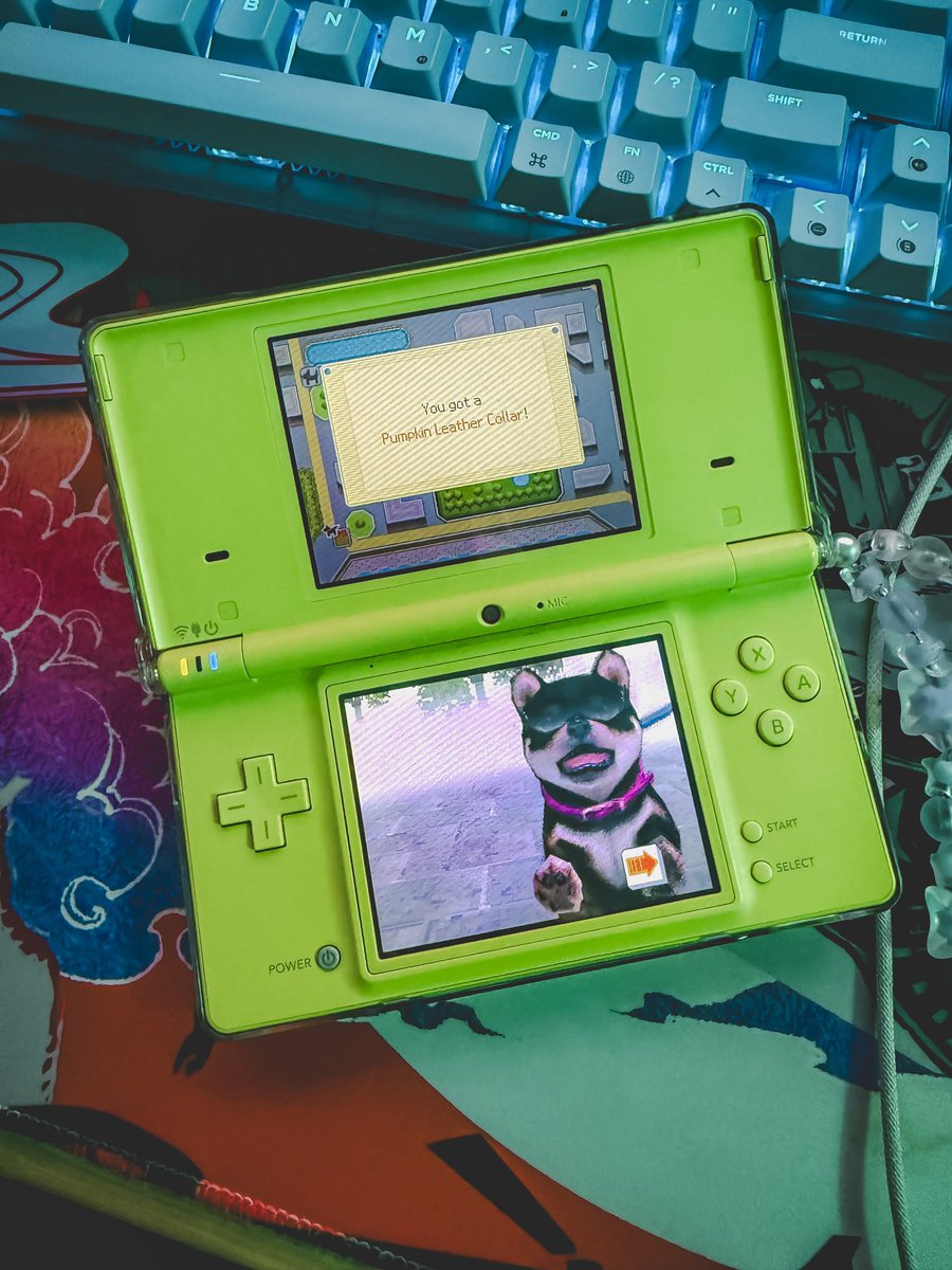 ⭐️ butters 🍜 tweet media