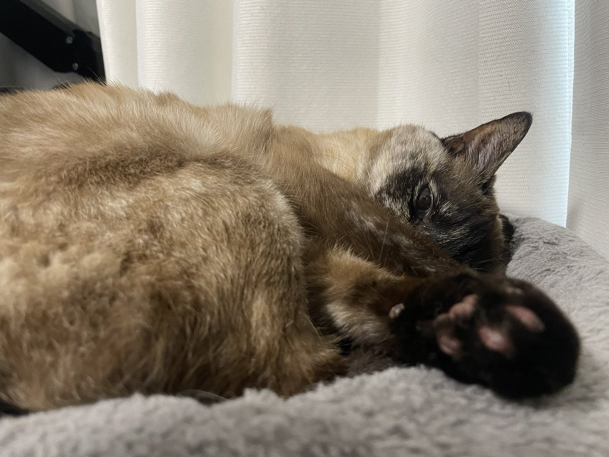 旋@8/31東4ケ15a (@mpd960) on Twitter photo 