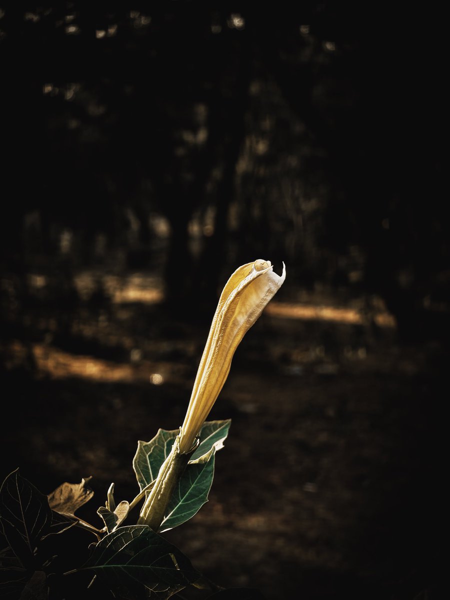 Paritosh_33's tweet photo. Some fun shots !
#T4ultra
#sunday https://t.co/7UglU4oHMb