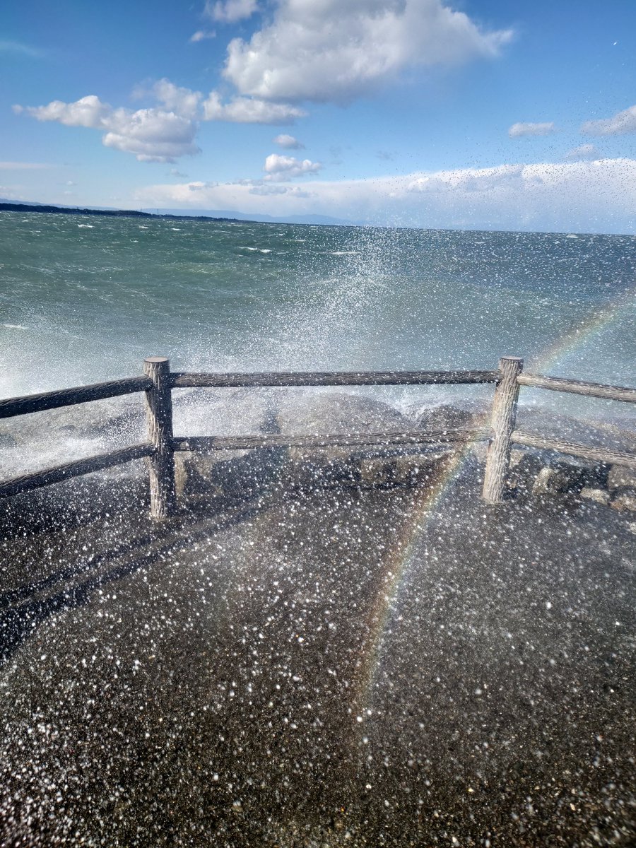 島田朋尚　4月 #ヨドミ がらんどうのしにすとら (@tomohisashimada) on Twitter photo 