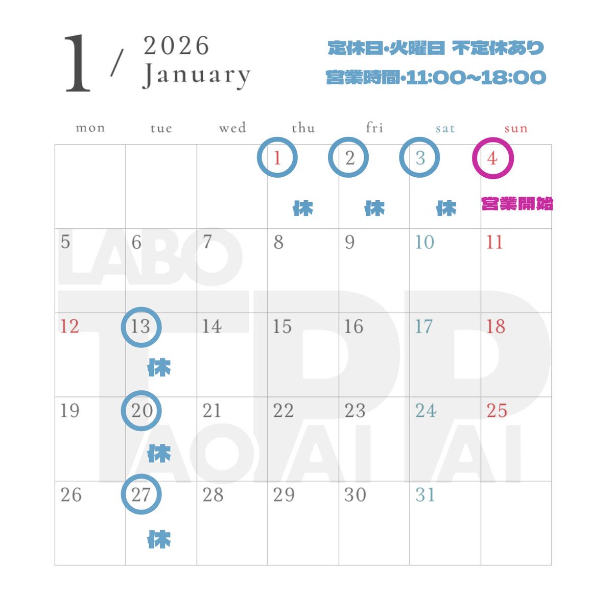 らぼ・桃白白🦎 tweet media