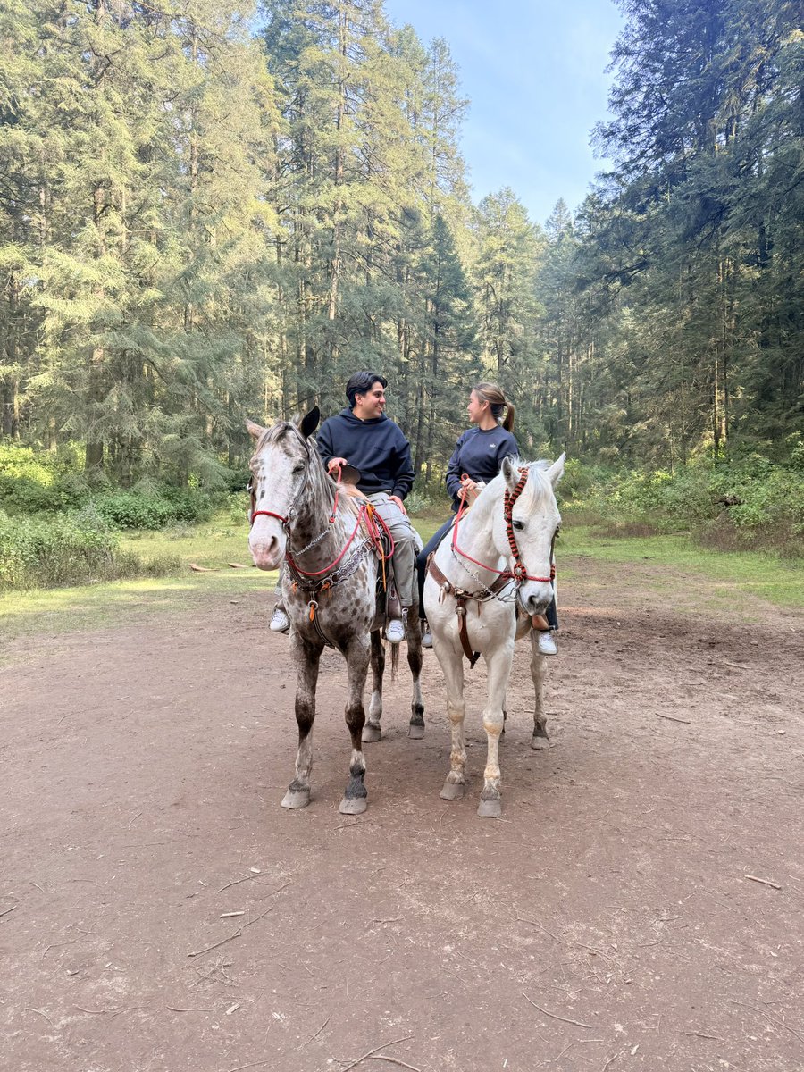 chiquitito hermoso desde que llegaste ni de dormir me acuerdo 🤤🤤🤤
