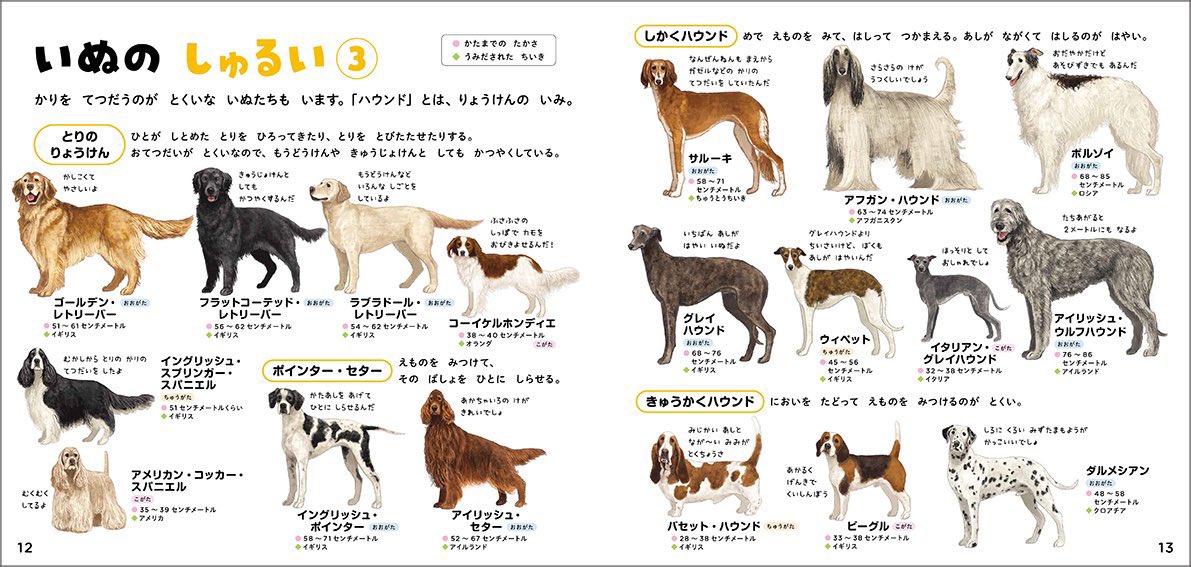 DoraSakio's tweet image. #犬の日
図鑑のお仕事で描いた犬達をみてください