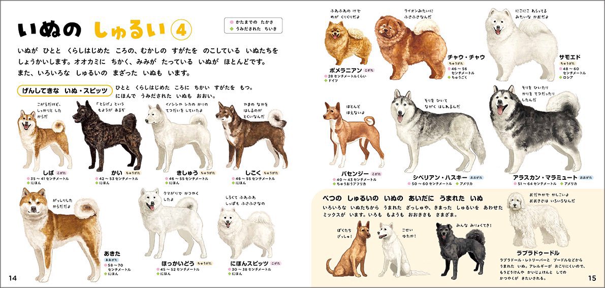 DoraSakio's tweet image. #犬の日
図鑑のお仕事で描いた犬達をみてください