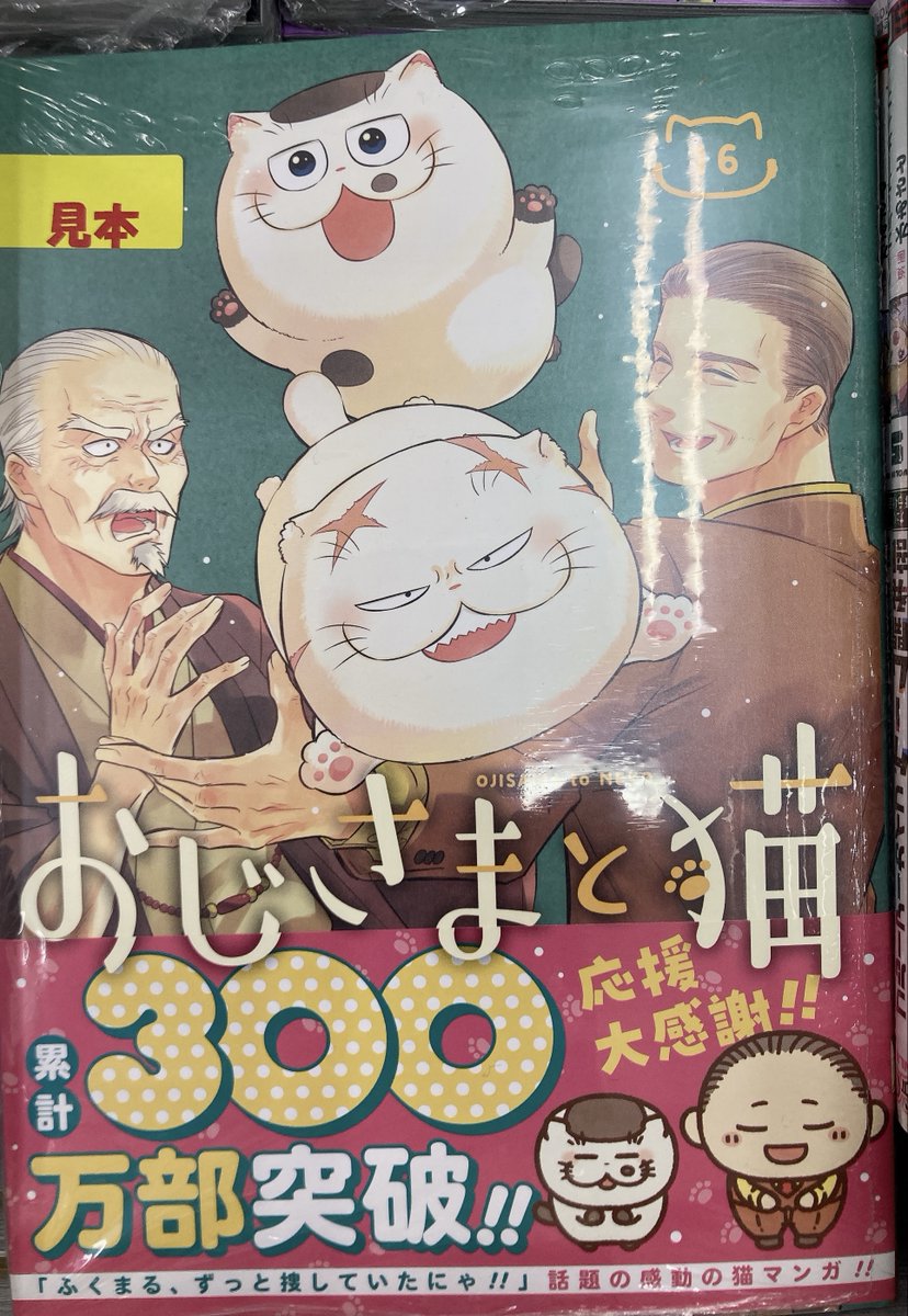 桜井海＠おじ猫16巻1/9発売決定！ (@sakurai_umi_) / Posts / X