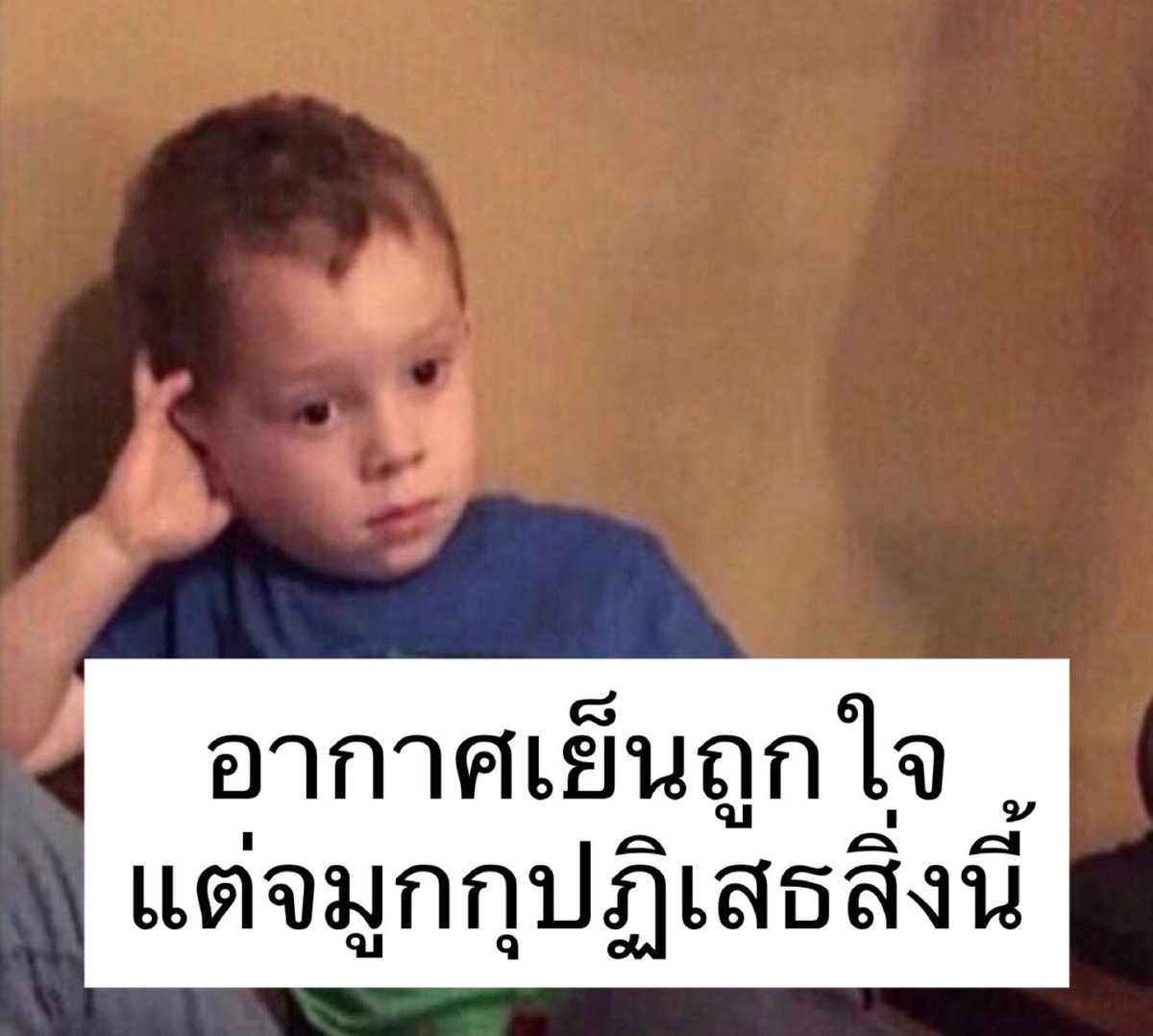 แด่ชาวภูมิแพ้ 55555555555555555555555