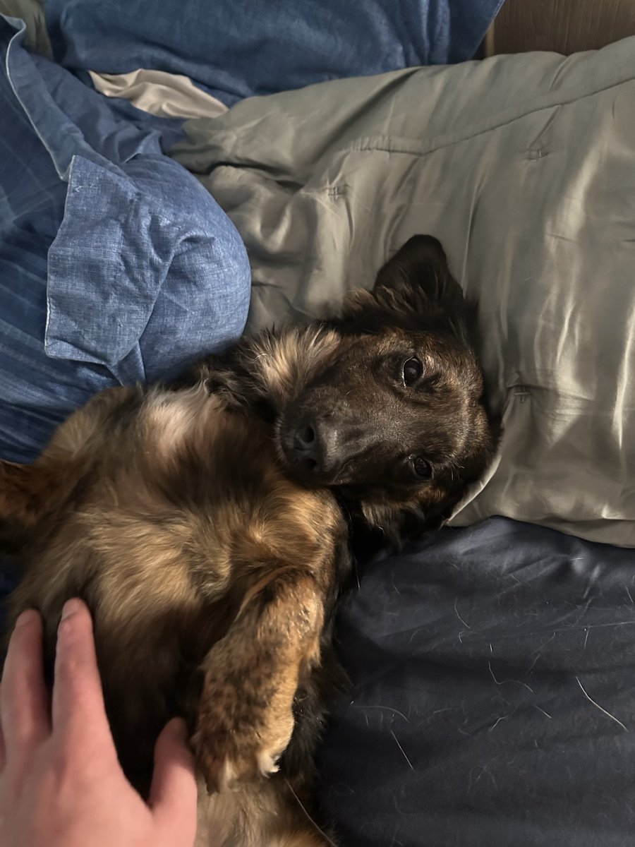 Official Smol tweet media