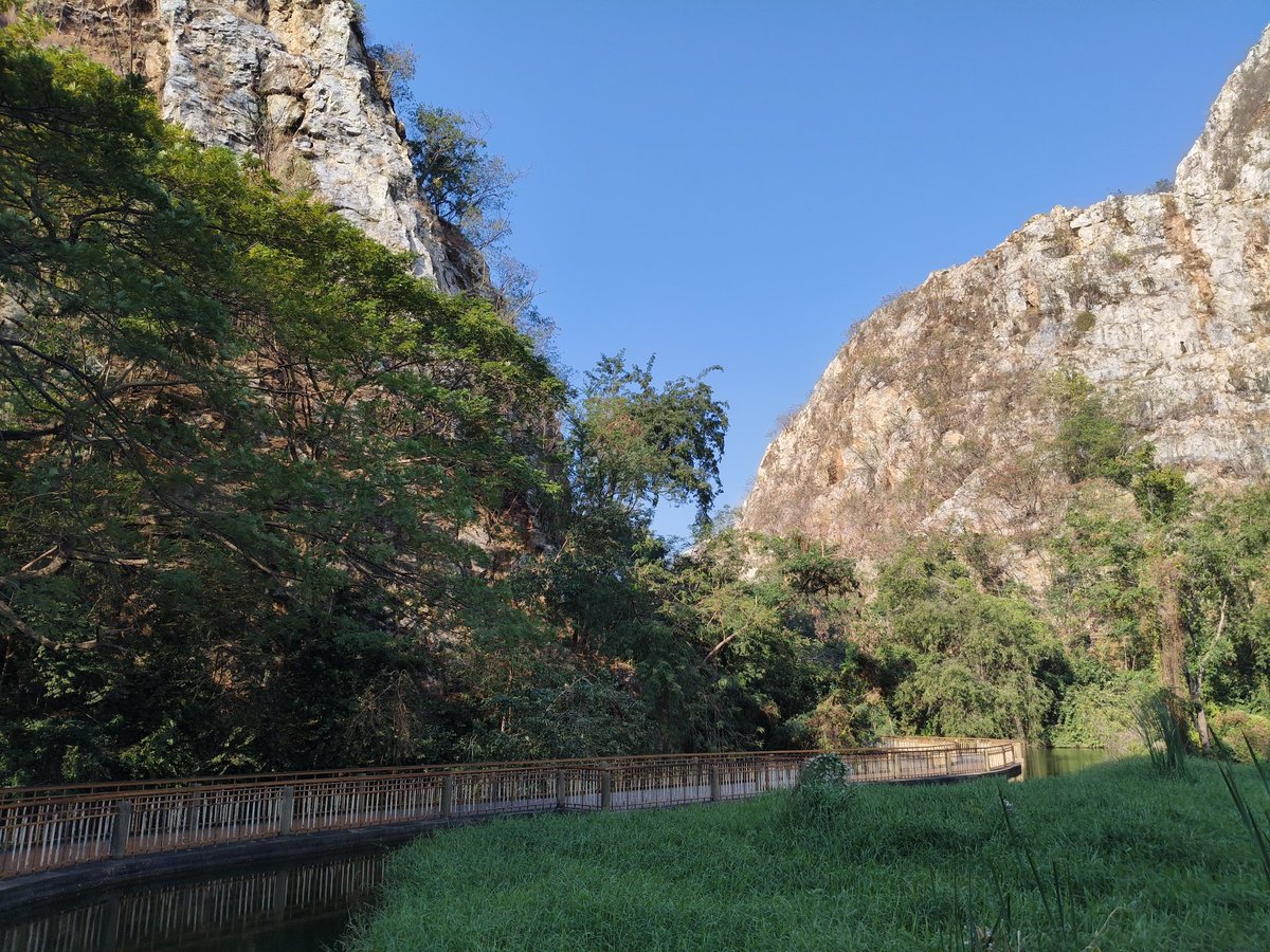 วันนี้เข้าป่าชมเขา
#เก็บภาพข้างทาง