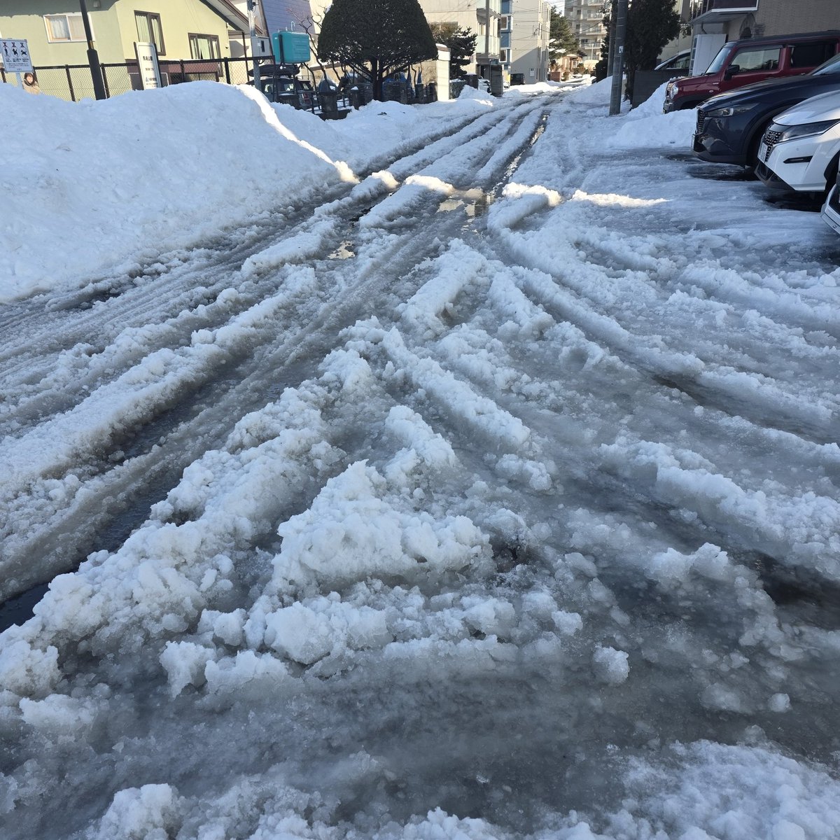 こんな時期にプラス気温
日陰は凍っている上に強風で
試されすぎですよね😭