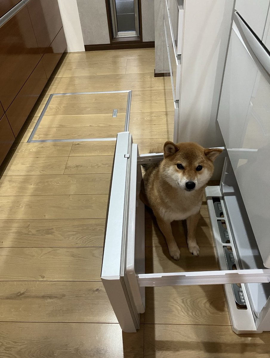kinokoko1013's tweet photo. ！？ https://t.co/pDl6KLrbEQ