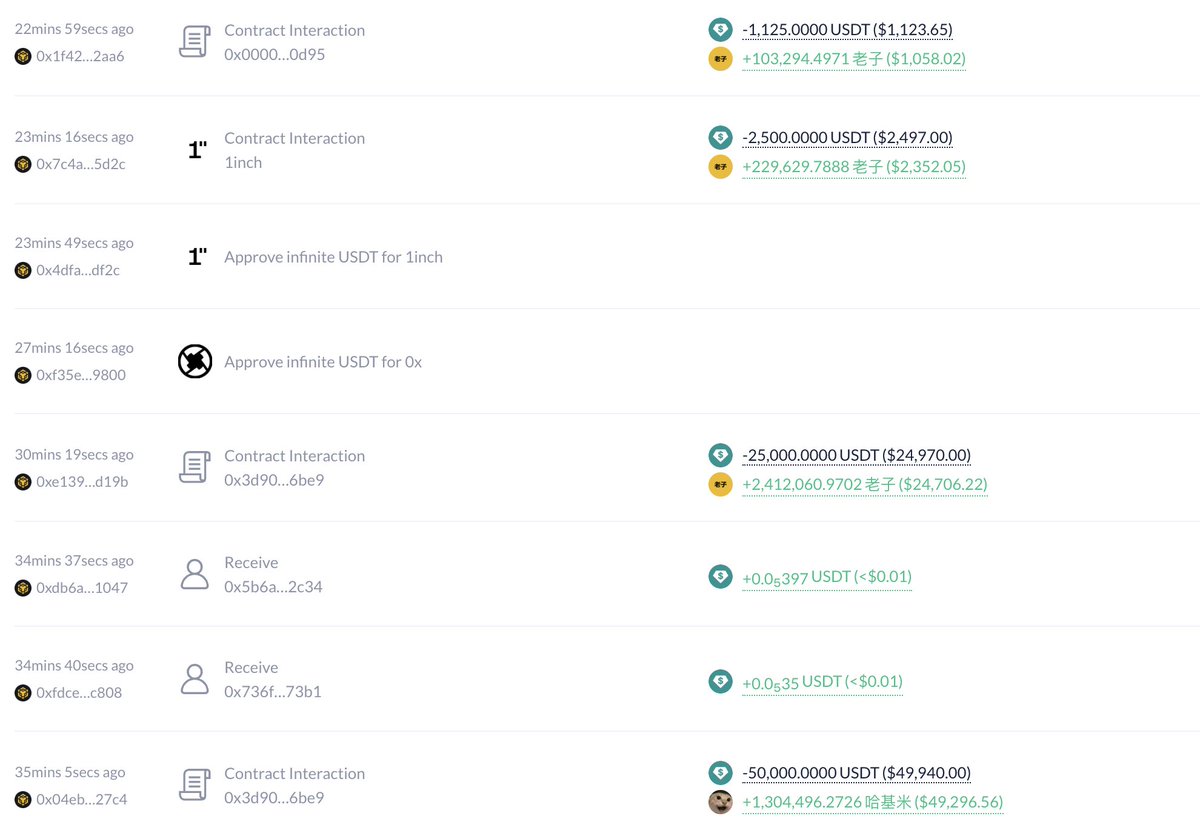 BNB Chain基金会斥资20万USDT购入多款中国Meme代币，包括币安人生等