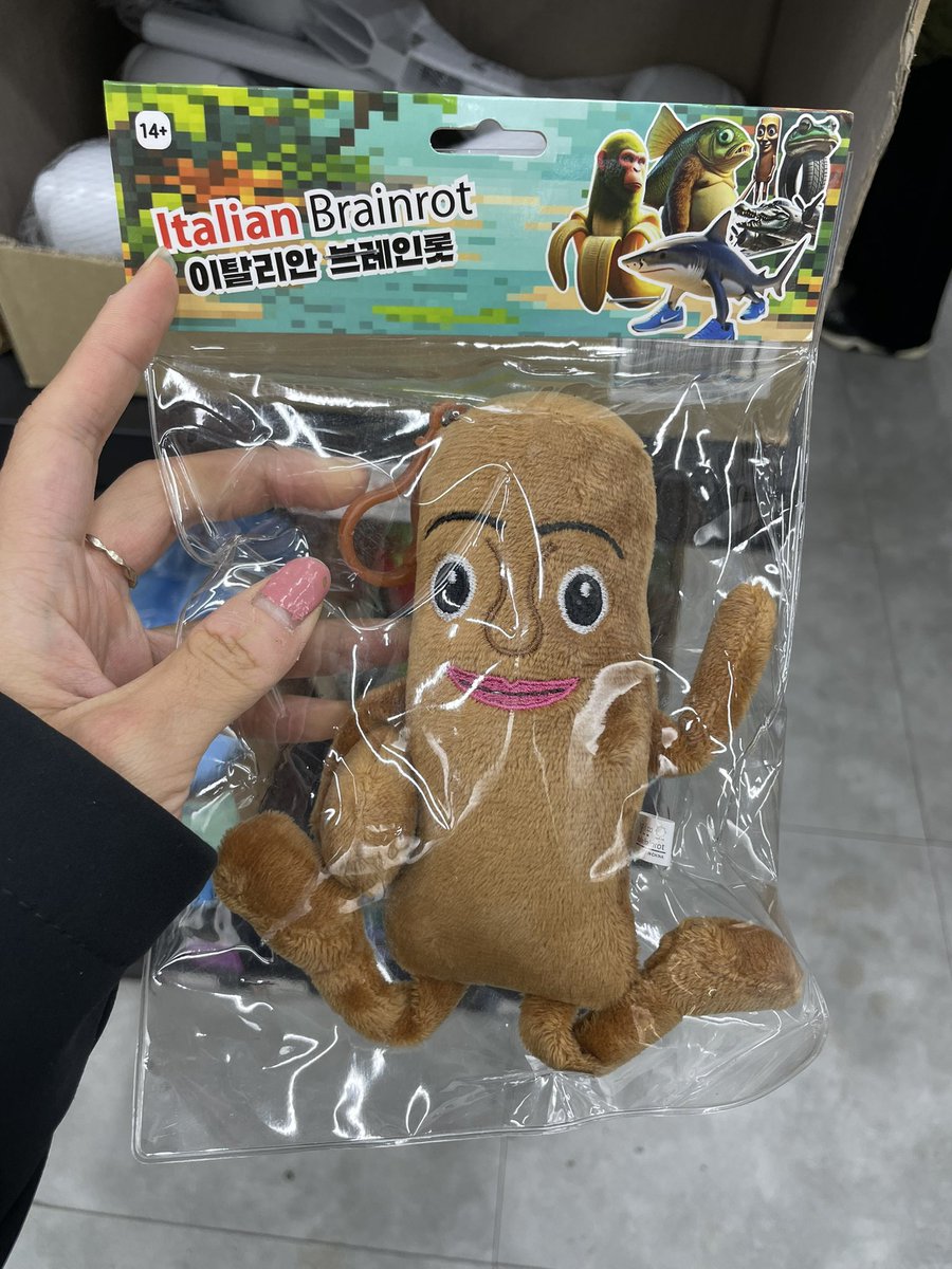 Bora (@boratheworld) / Posts / X