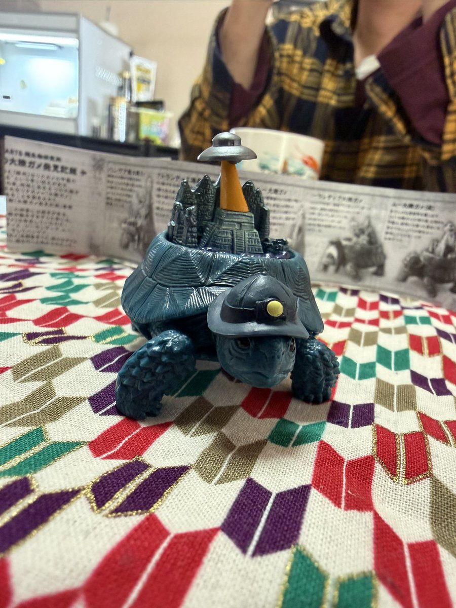 We found a cute tortoise gachagacha yesterday ✨