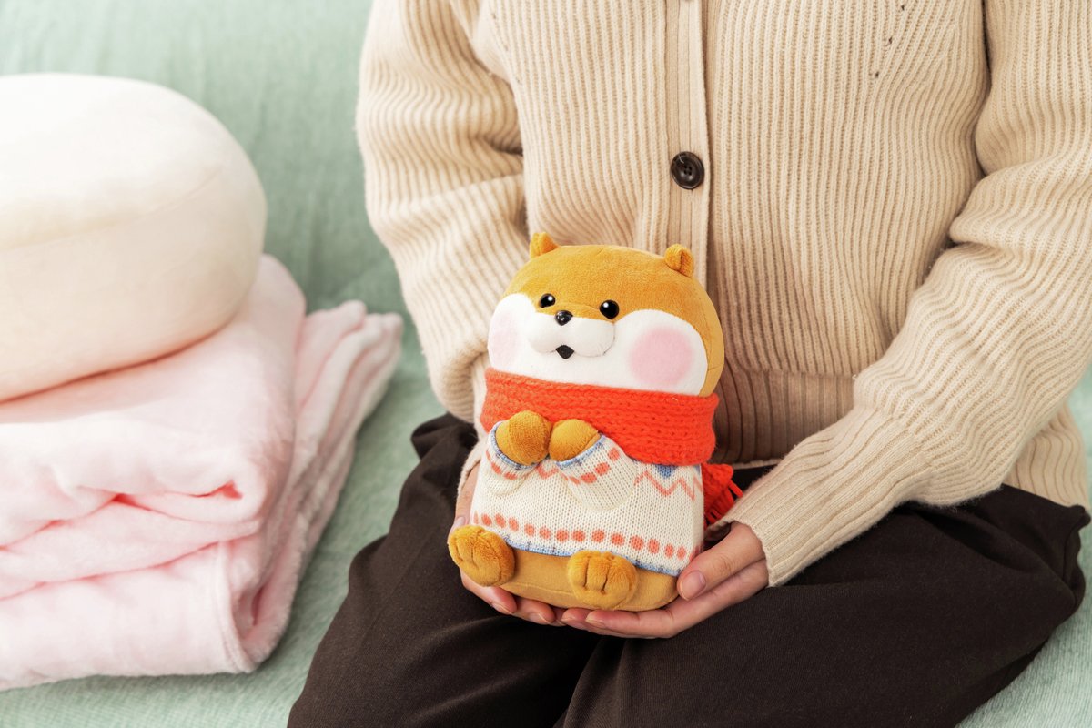 ぬんぬん ぬんぬんレコード