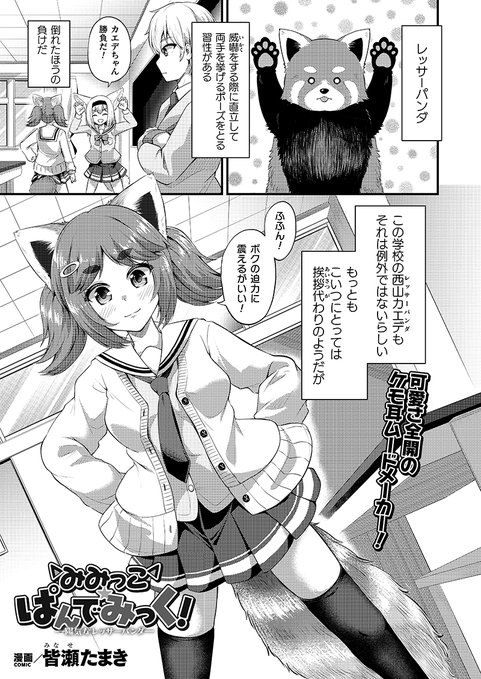 1月13日発売のコミックアンリアルVol.119にて、『みみっこ・ぱんでみっく!』2話目が掲載されてます! 今回はレッサーパンダのヒロインとそんな幼馴染のお話。(1/2)