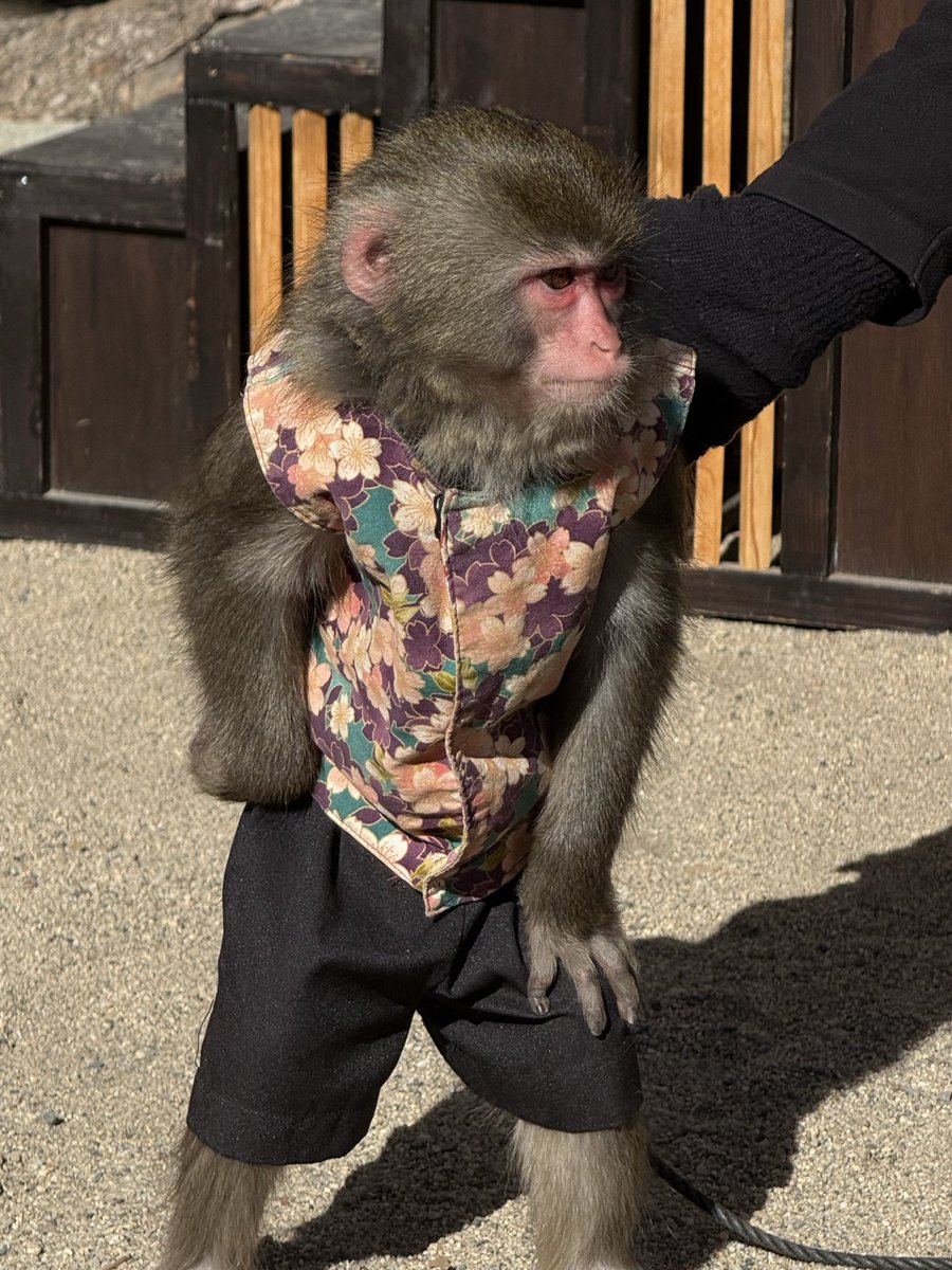 たかよし (@37_taka) / Posts / X