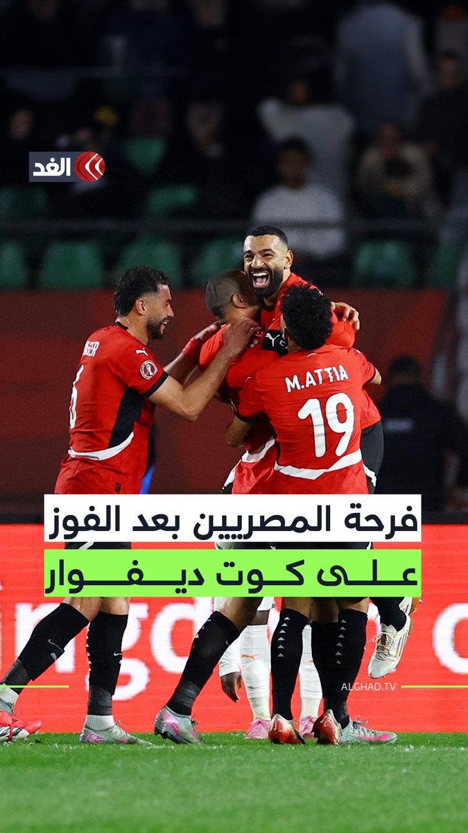 الجماهير المصرية تعبّر عن فرحتها بتأهّل منتخبها إلى نصف النهائي بعد فوزه على كوت ديفوار في كأس الأمم الإفريقية 