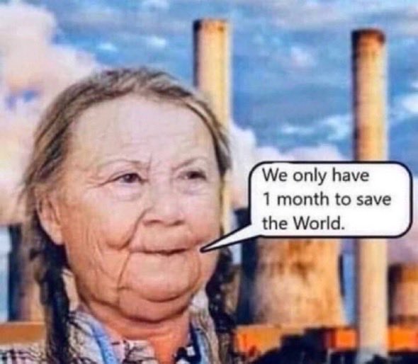 thurstonarchive's tweet photo. greta thunberg old we only have 1 month to save the world image meme https://t.co/cQj54L5Pxr