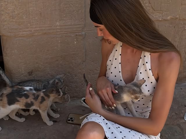 She can adopt all the cats... Right?

Jane helps with feral cats, capture and release programs when she's not helping at police departments.