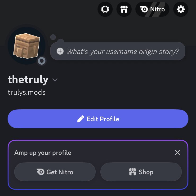THIS PERSON IS IMPERSONATING ME. IF YOU RECEIVE ANY MESSAGES FROM HIM, DO NOT RESPOND. IT IS NOT ME. My name on Discord is trulys.mods, not trulysmods (like the user from the first photo). PLEASE REPOST THIS SO NO ONE GETS SCAMMED 🙏