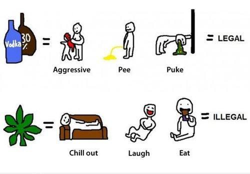 _StonersRUs_'s tweet image. Alcohol Vs. Cannabis