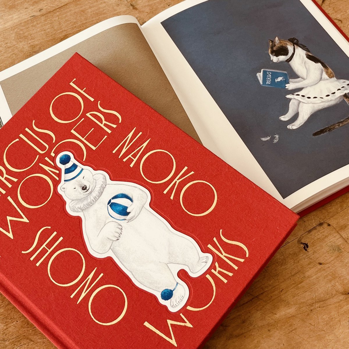 庄野ナホコ「Books & Birds」展 原画 美品 庄野ナホコ (@nshono) / Posts / X