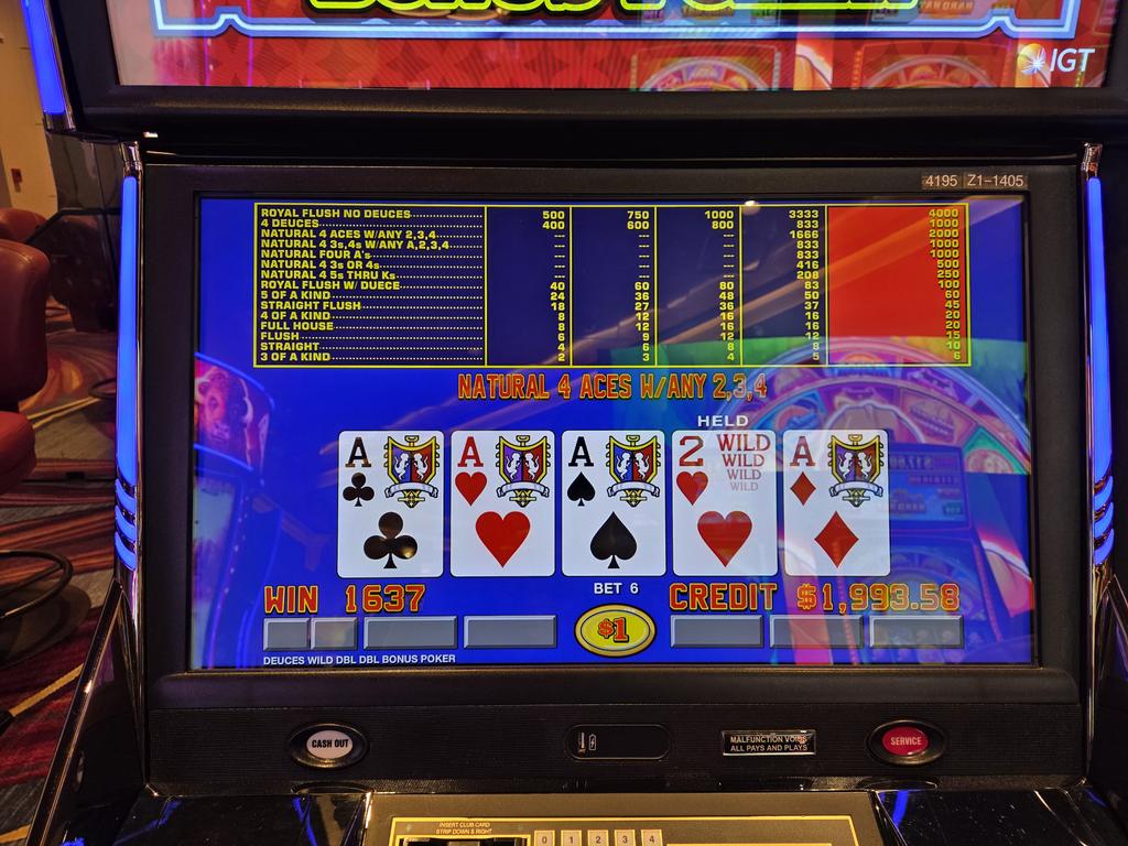 Steve aka 'Ds Dummy' - Europe 5/14-30 tweet media