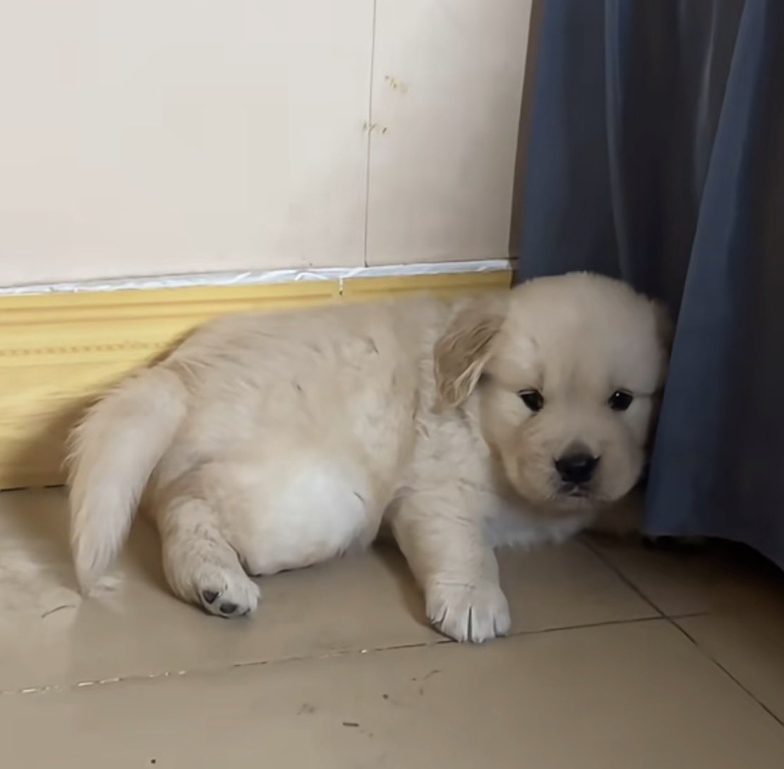 อ้วมแล้วก้เก่าๆ