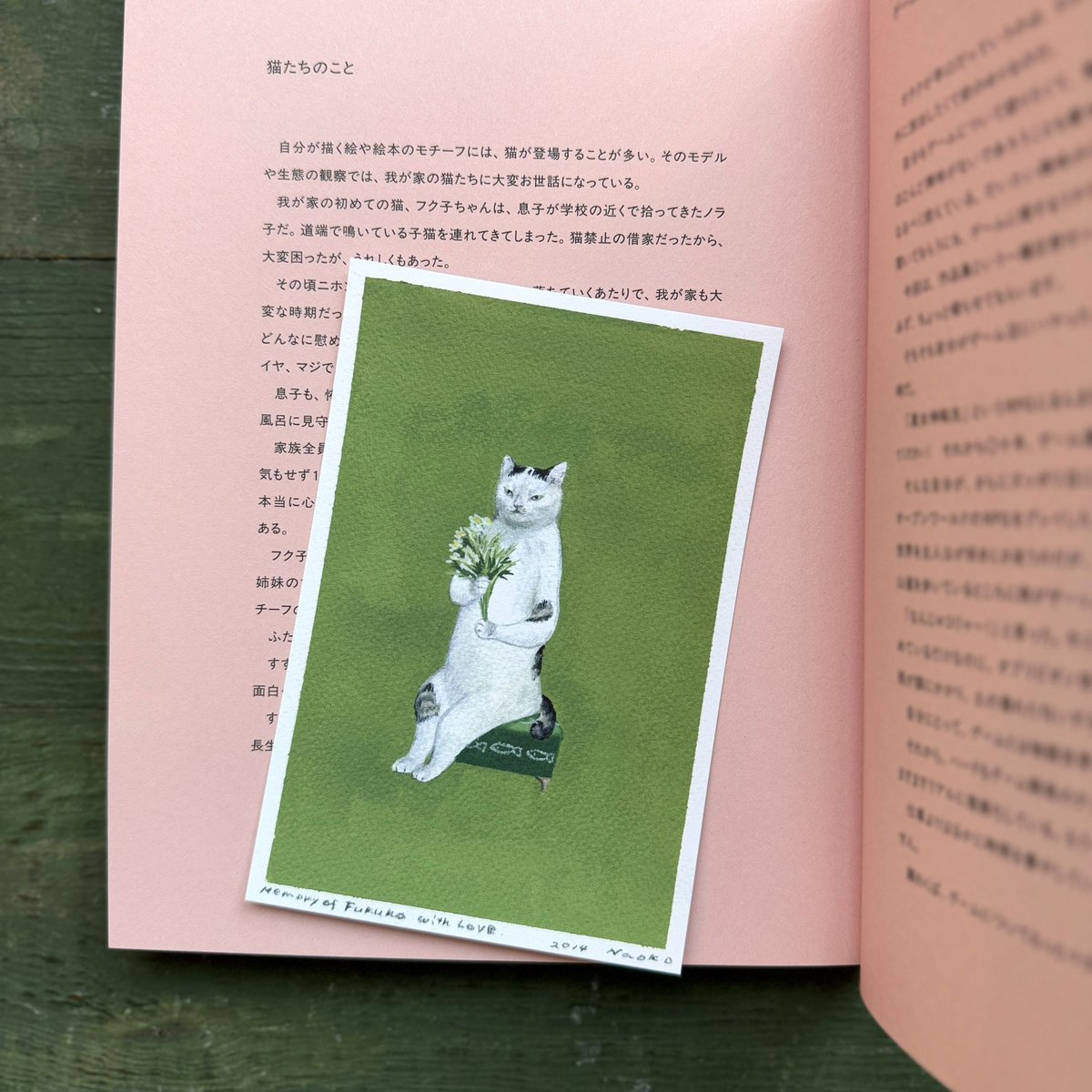 庄野ナホコ「Books & Birds」展 原画 美品 サイン本／特典ポストカード付】Circus of Wonders 庄野ナホコ作品集