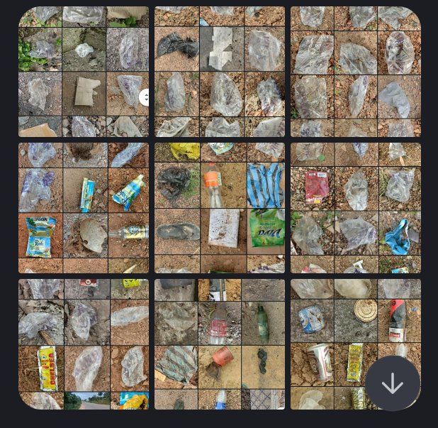 Litter Token ($LTK) 🌱 tweet media