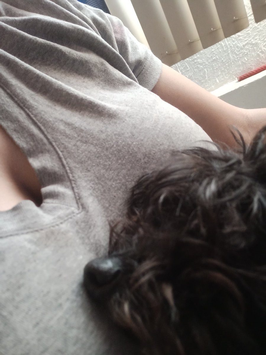 LadyVathory's tweet photo. Después del velorio, no me quería soltar 🥺 https://t.co/KJWOEczGzn