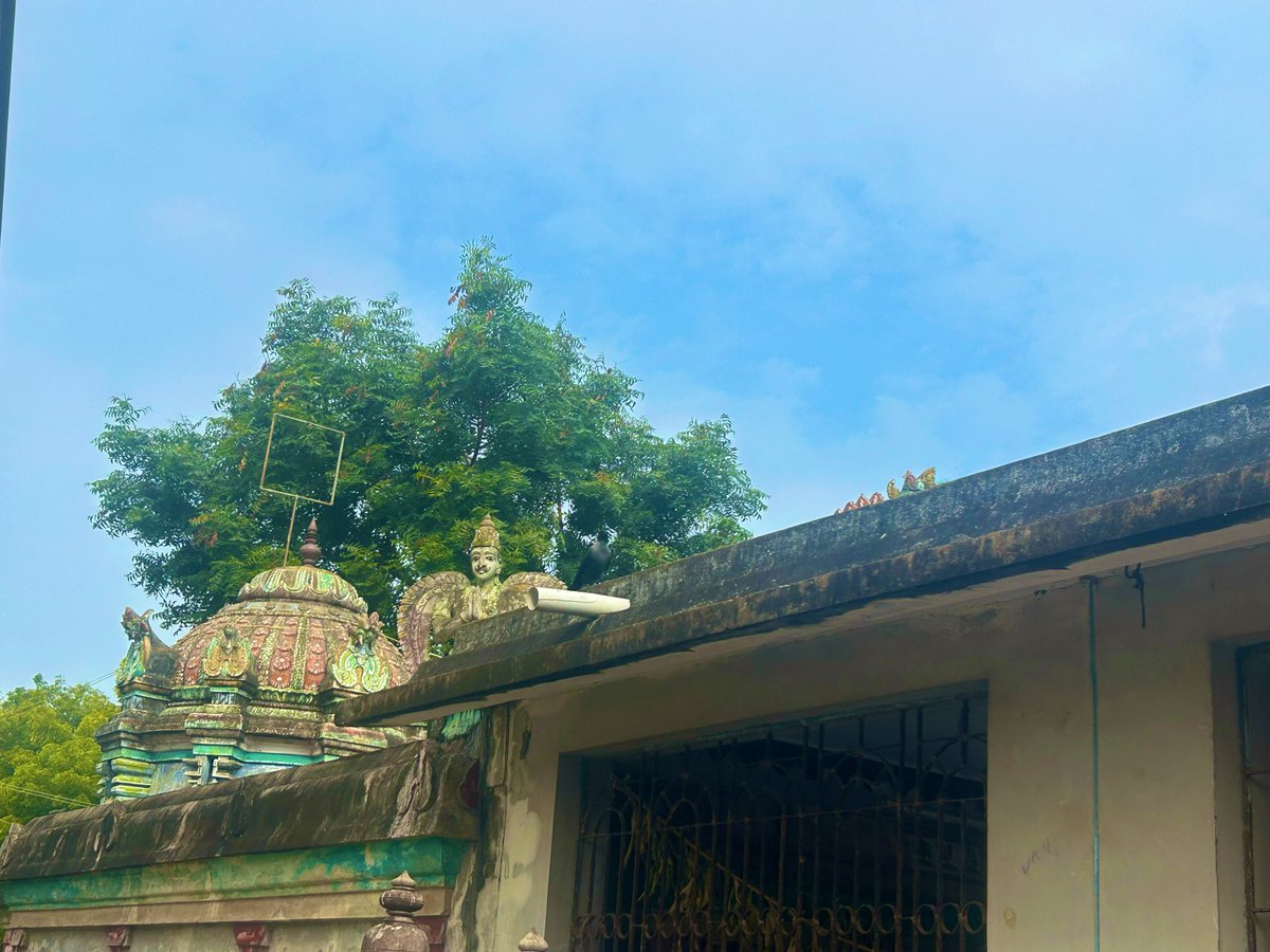 Namaskaram 

On the auspicious occasion of the Gudaravalli festival today, it was a joy to witness the devotion and enthusiasm of the children. 

As part of Makara Sankranti celebrations, we offered manjal, kumkum, and sandanam to Sri Lakshmi Narayana Perumal 🙏