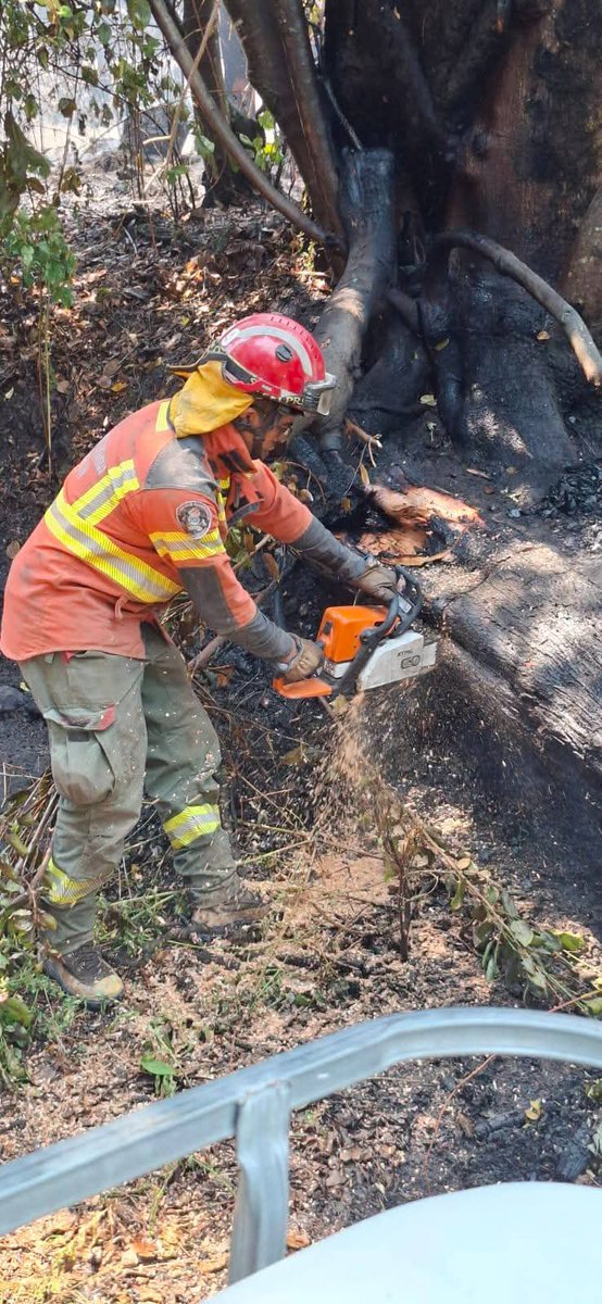 cabreraonline tweet media