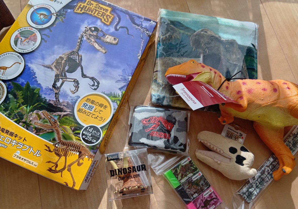 めっちゃ豪華！！甥っ子たちにも分けよう💪🩷 ＃福井県立恐竜博物館