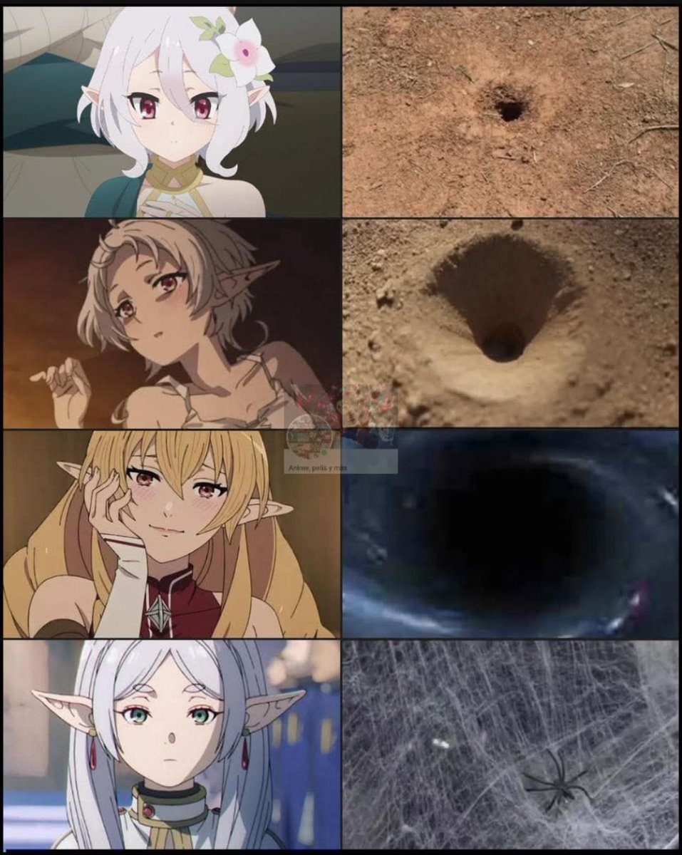 Espiritu tweet media