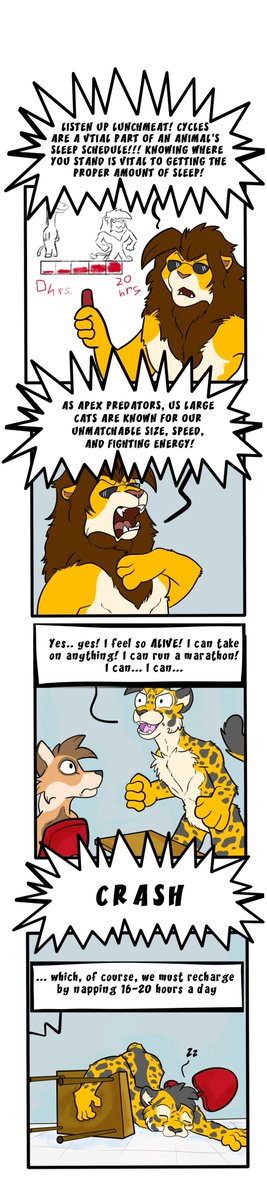 ReplyingAt3am's tweet photo. LIS 67!! Calvin learns an important lesson about feline sleeping habits 

#TFTuesday #cheetah #furryart #comic https://t.co/5VnW0HdEoH