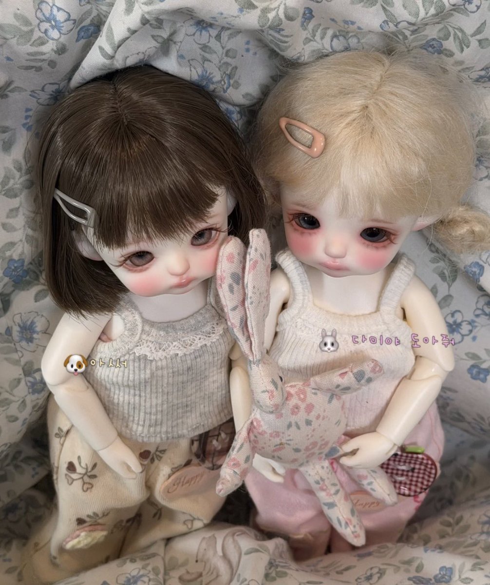 요지경౨ৎ tweet media