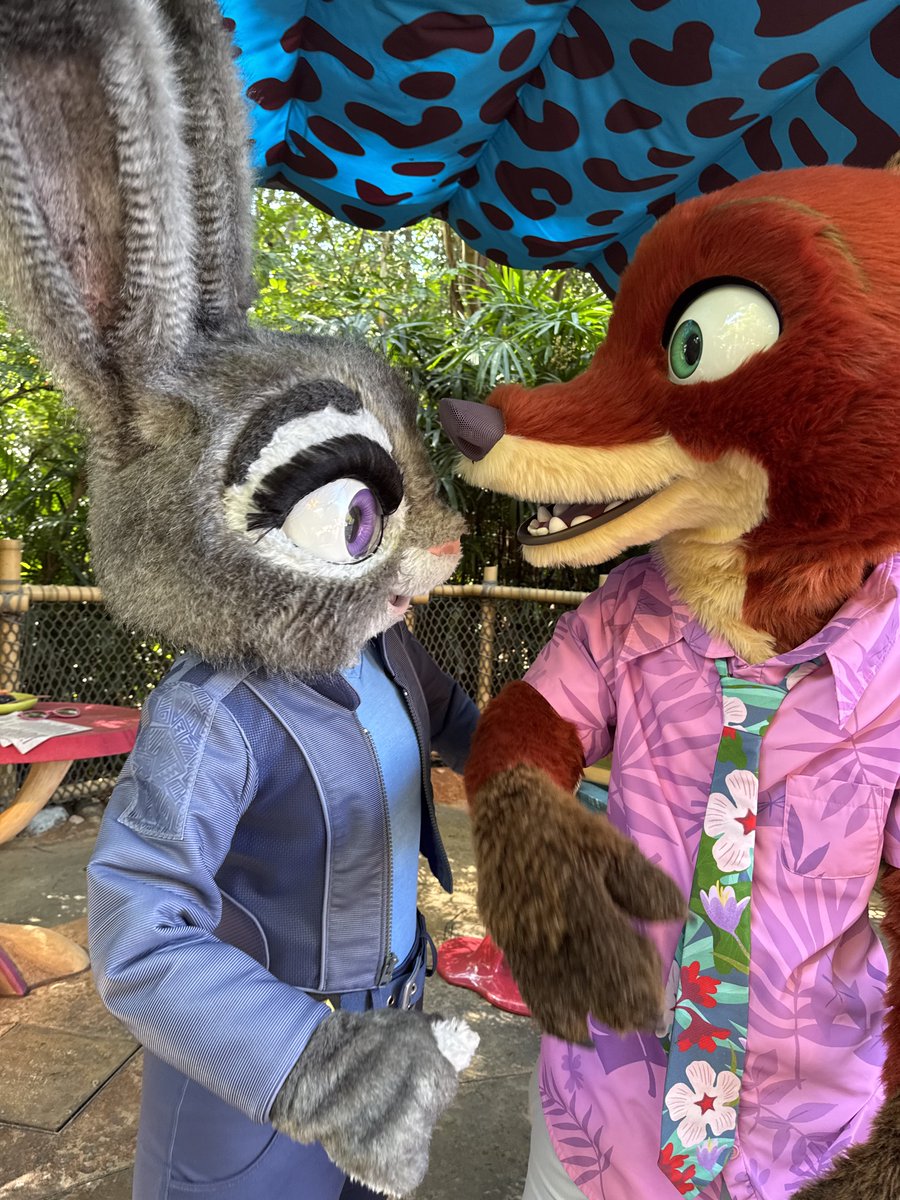 本日2回目のジュディとニック🐰🦊