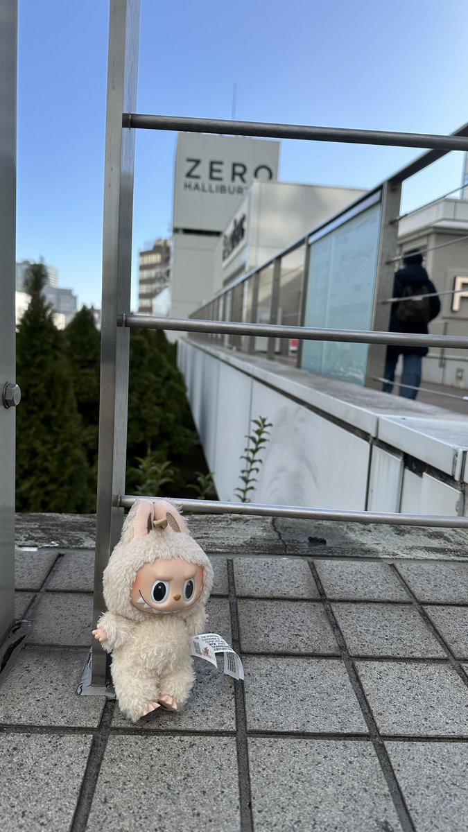 誰かの大切ならぶぶ（というおなまえのこだと思うはじめて間近で見た）が新宿の南口にポツンとうつ伏せで落ちてたから、近くのフランフランに届けてあります。

持ち主さんのもとへもどれるといいな。